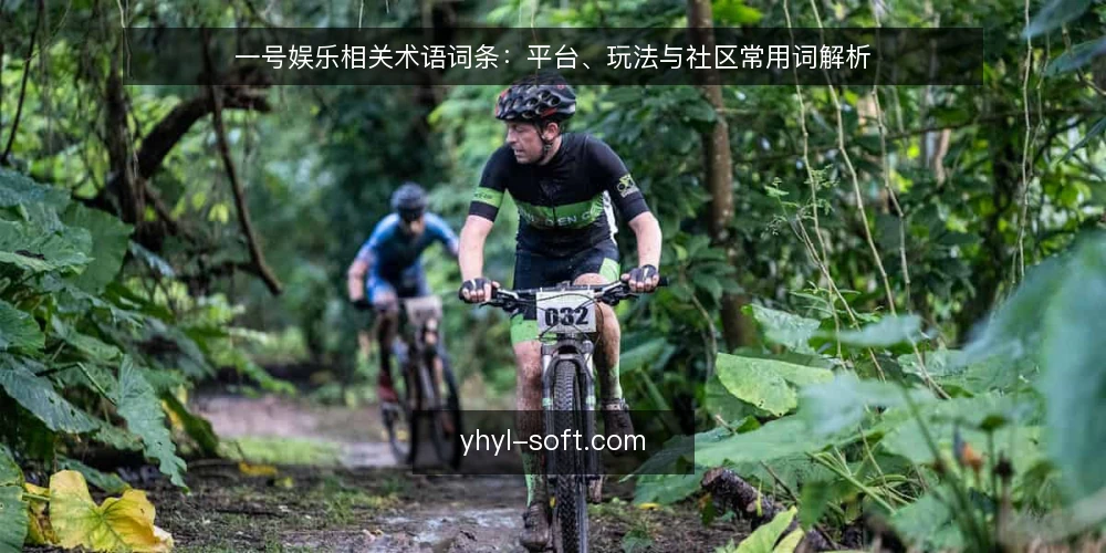 一号娱乐相关术语词条：平台、玩法与社区常用词解析 — 现场需关注的信号 配图
