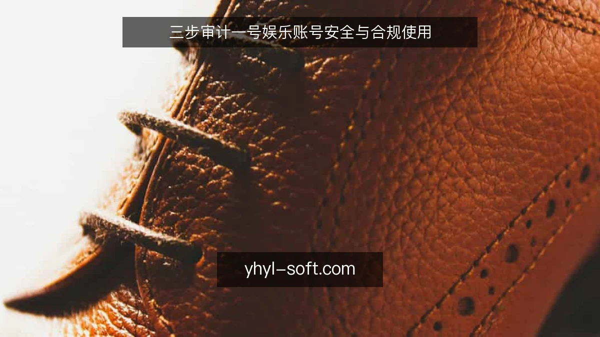 三步审计一号娱乐账号安全与合规使用